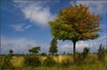 _MG_6854a