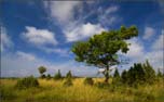 _MG_6860a