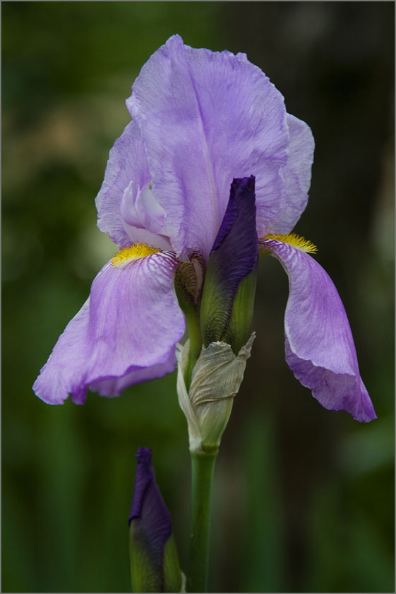 015