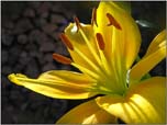 033