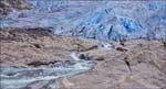 _MG_5617