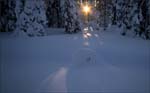 _MG_2371a