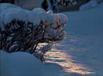 _MG_0574