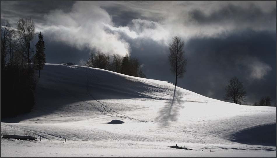 _MG_2454a