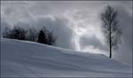 _MG_2467a